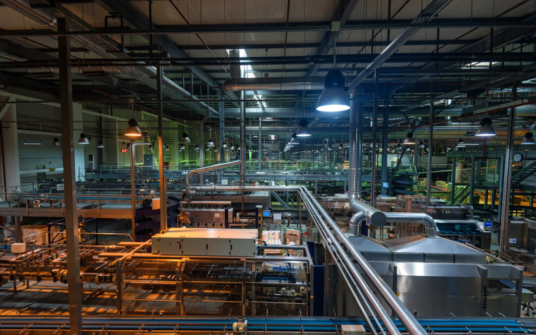 Polska branża opakowaniowa na tle Europy – czy mamy się czym chwalić?